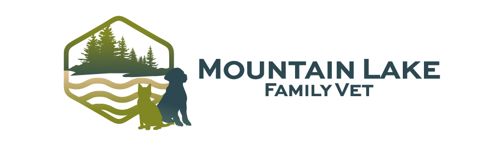 Best Veterinarian in Monument, CO 80132 - Mountain Lake Family Vet